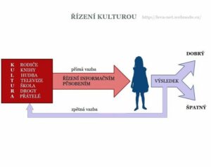 Infografika 12