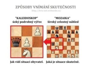 Infografika 24